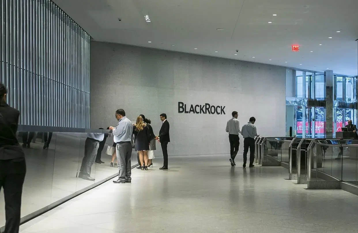Система Blackrock состоит из нескольких фондов