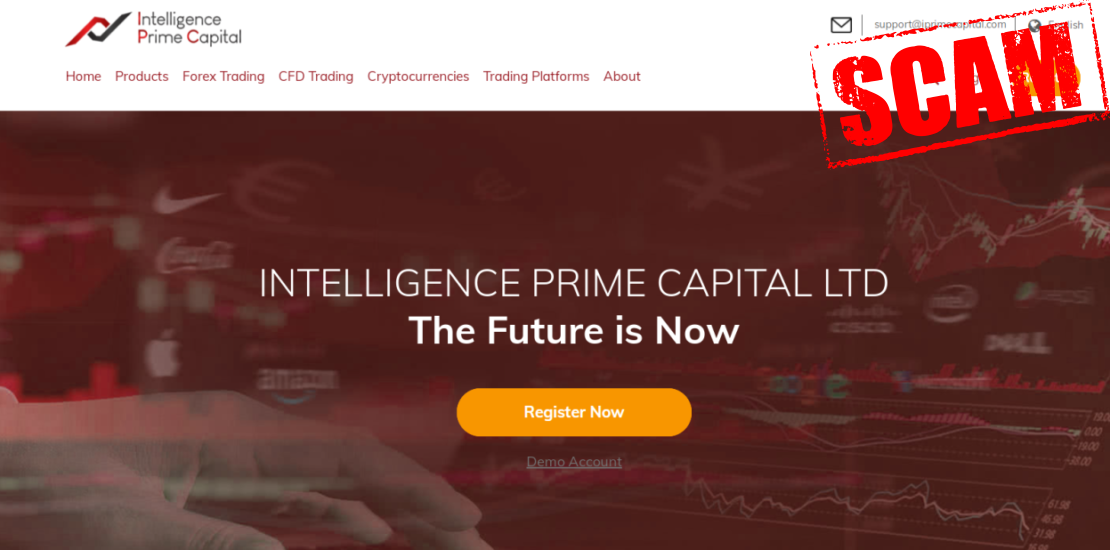 Анализ Intelligence Prime Capital LTD