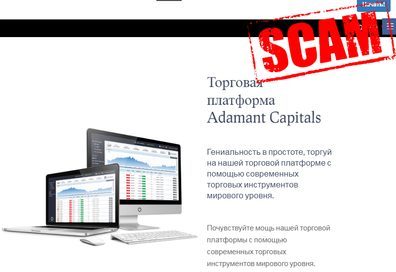 Обзор многообещающего проекта Adamant Capitals